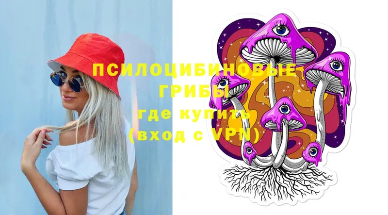 Галлюциногенные грибы Cubensis  Верхнеуральск 